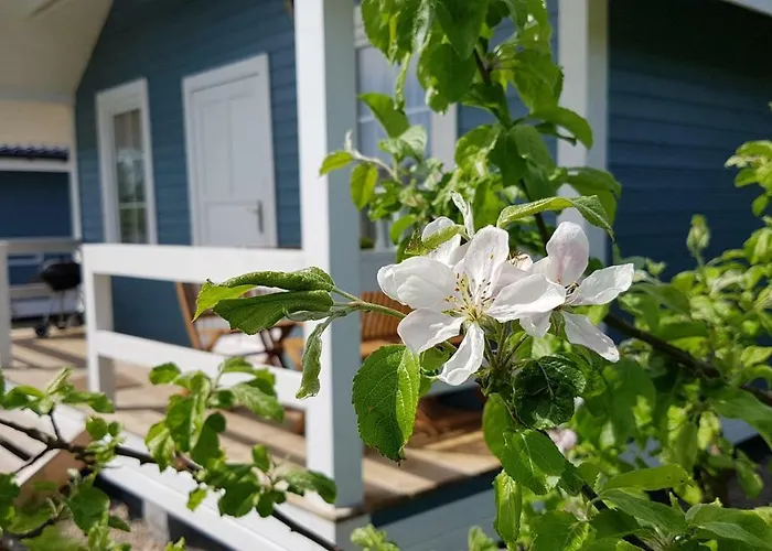 By The Sea Dom wakacyjny Wrzosowo (Kamien)